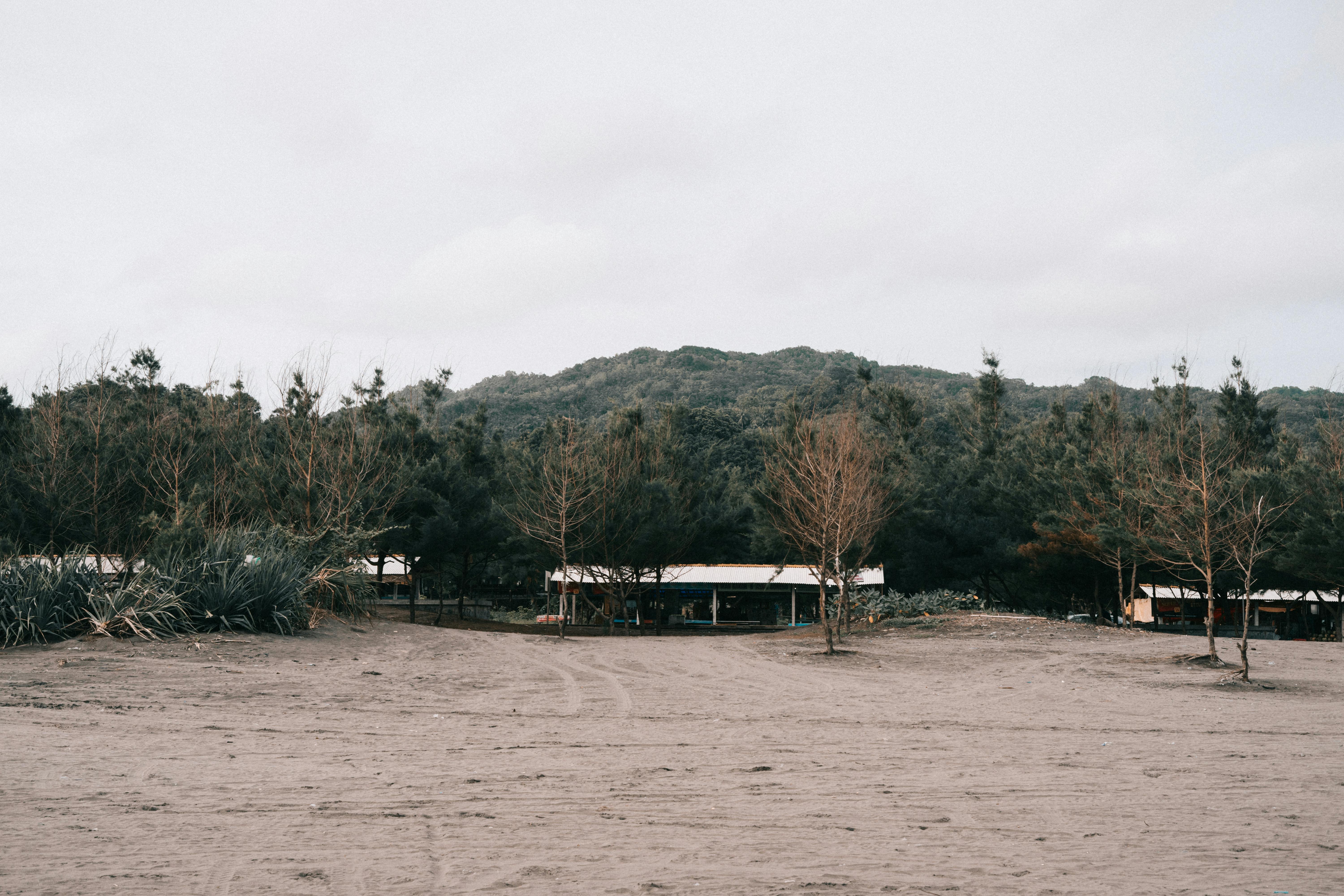 Bungalows